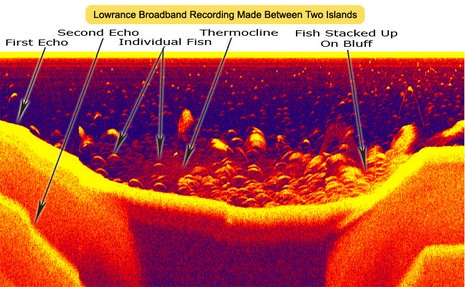 Lowrance Broadband Sonar Recording HR PRG