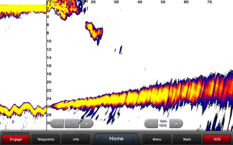 Garmin_Panoptix_LiveVu_Forward_w_diver_aPanbo.jpg