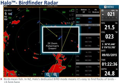 Simrad_Halo_birdfinder_aPanbo.jpg