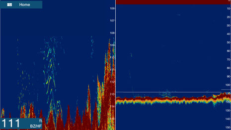 Furuno_TZT_2_15L_bottom_zoom_courtesy_F_Khedouri_aPanbo.jpg