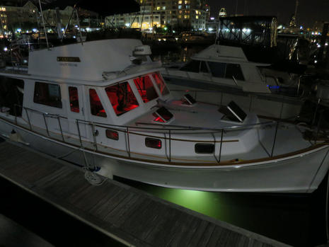 Gizmo_w_Macris_underwater_light_cPanbo.jpg