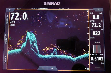 Simrad_NSS_EVO3_showing_FishReveal_cPanbo.jpg